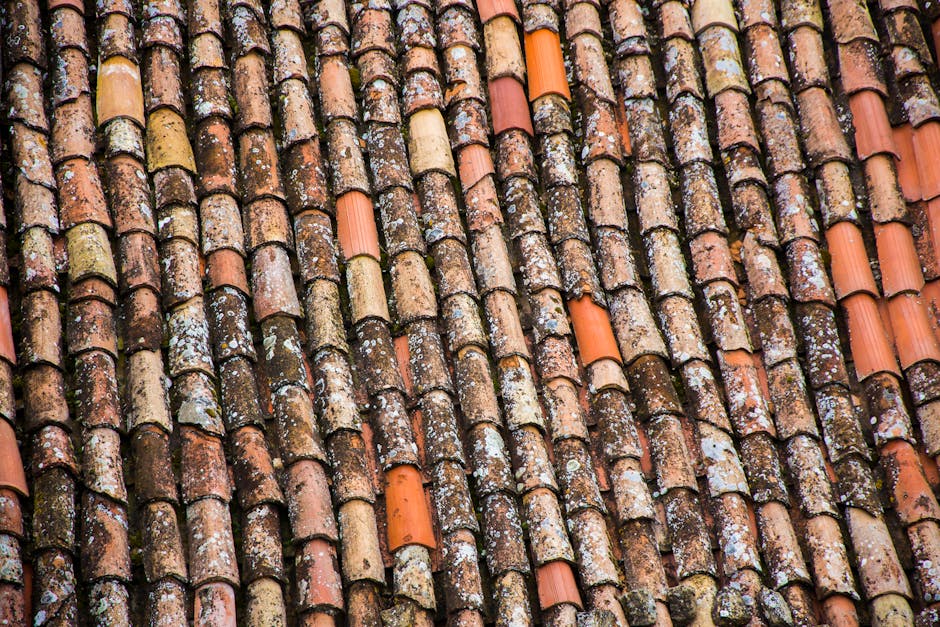 Dachówka ceramiczna czy blachodachówka? Co przetrwa próbę czasu?