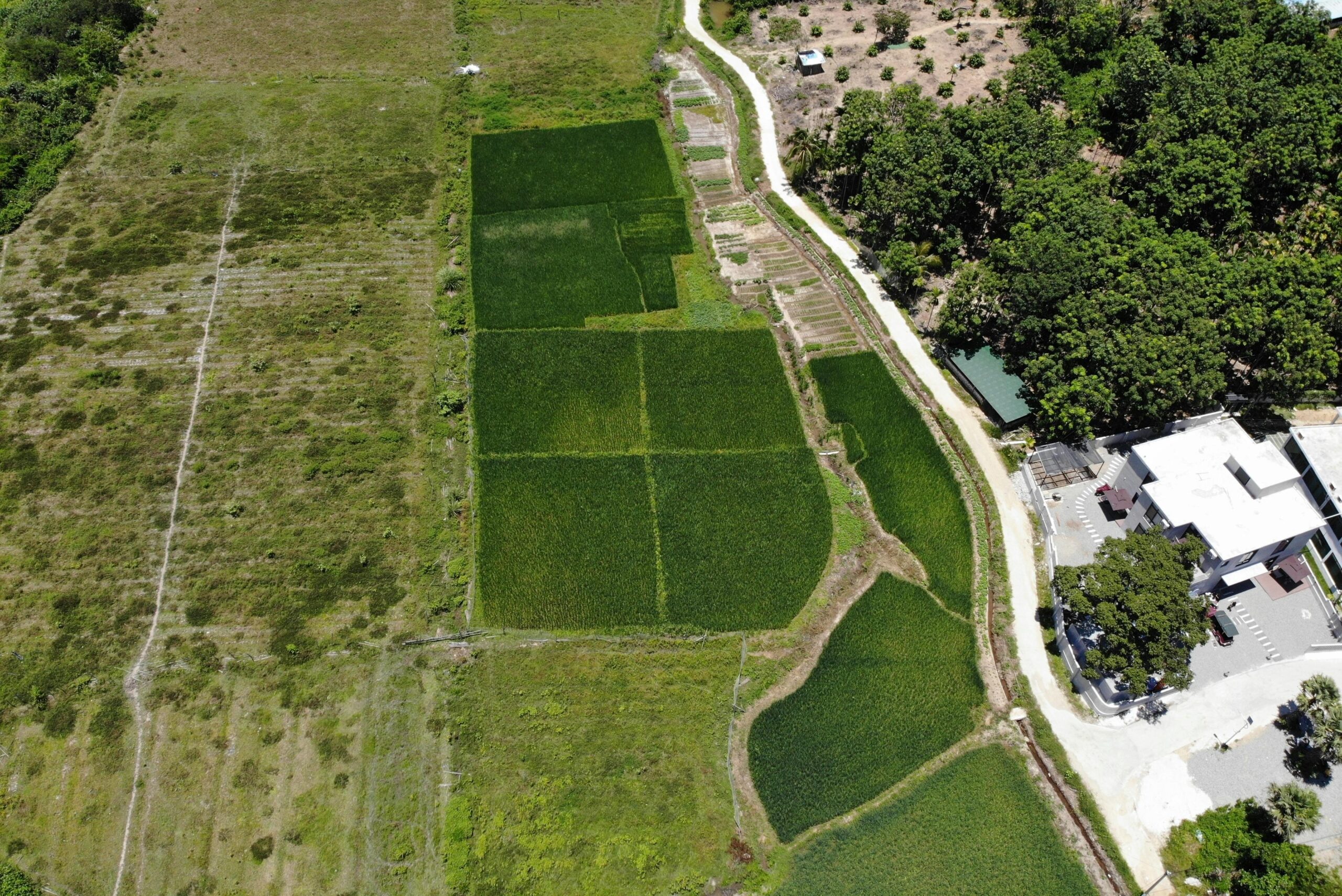 Jak wybrać idealną działkę pod budowę domu?